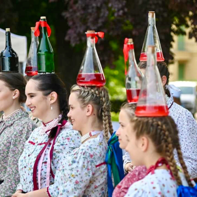 Veszprém vármegyei gyermek-néptáncműhelyek bemutatkozása
